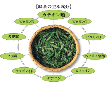緑茶の主な成分