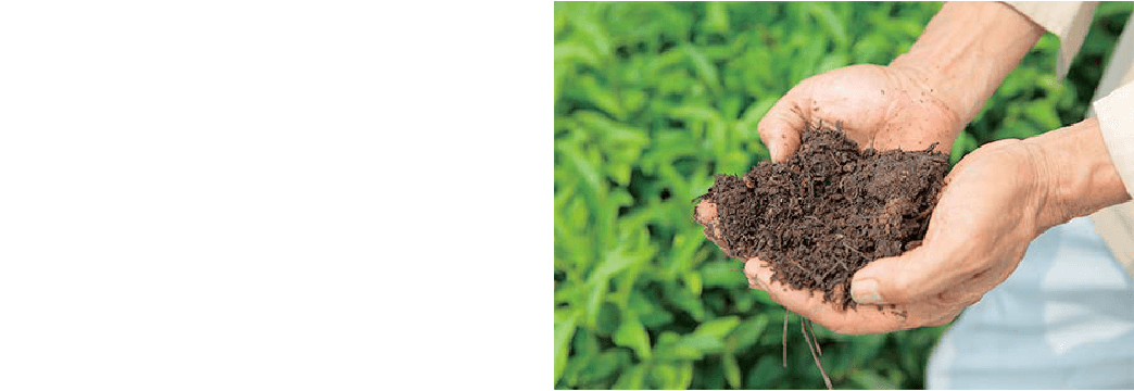 有機肥料