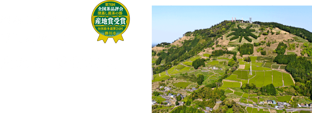 深蒸し茶産地 静岡県掛川市 産地賞 受賞22回